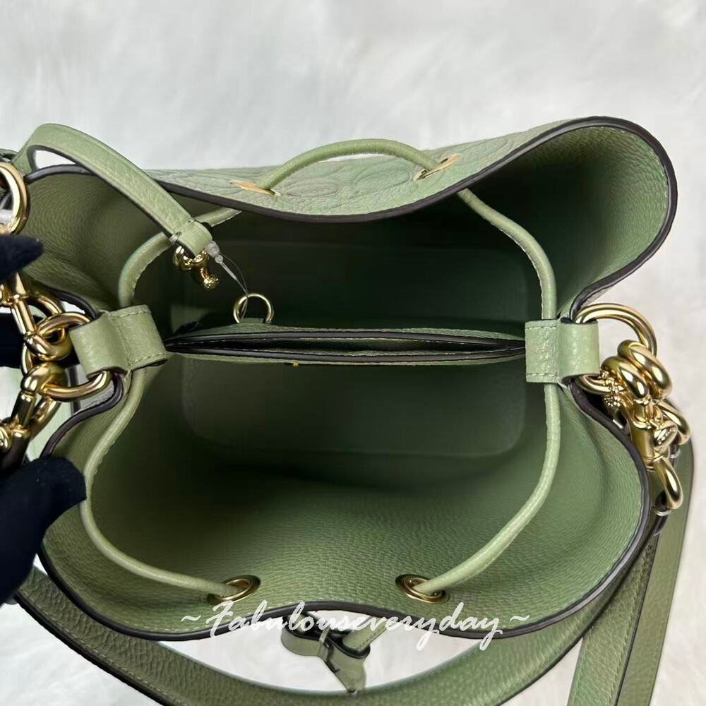 Coach Rowan Bucket Bag Crossbody In Signature Leather CEA96 Pistachio + Pouch - Picture 7 of 7